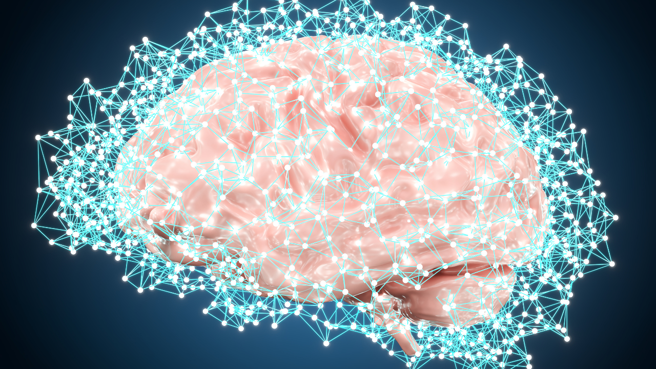 Estudo examinou o impacto do treinamento cognitivo  nas funções executivas de jogadores